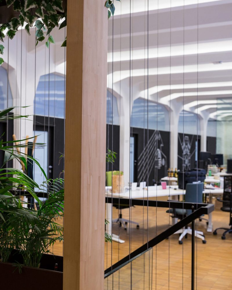 View of empty office with pot plant